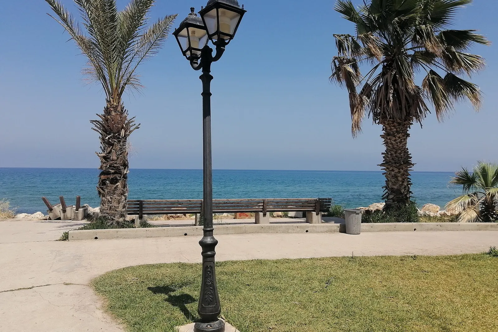 Palm trees and the sea