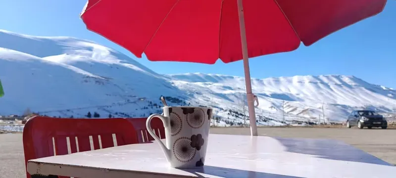Royal Chalets and Restaurant